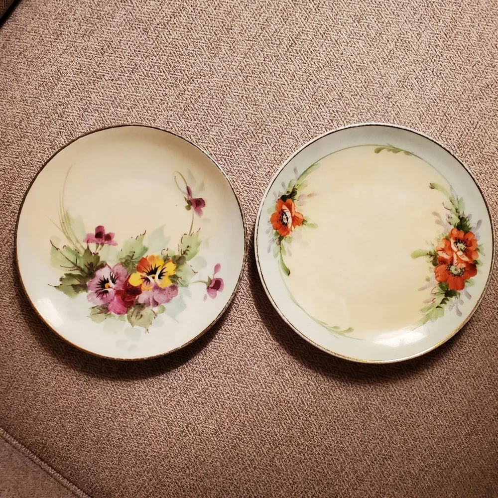Pair of Vintage Plates from Germany